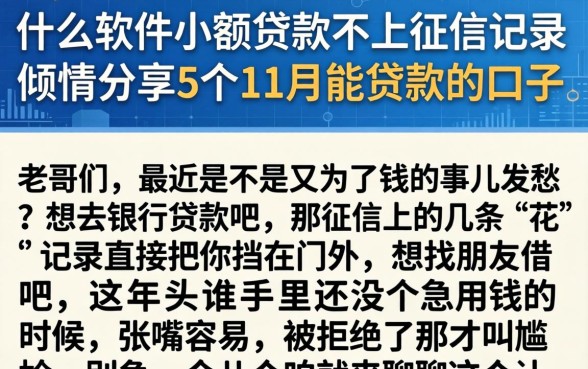 什么软件小额贷款不上征信记录,倾情分享5个11月能贷款的口子