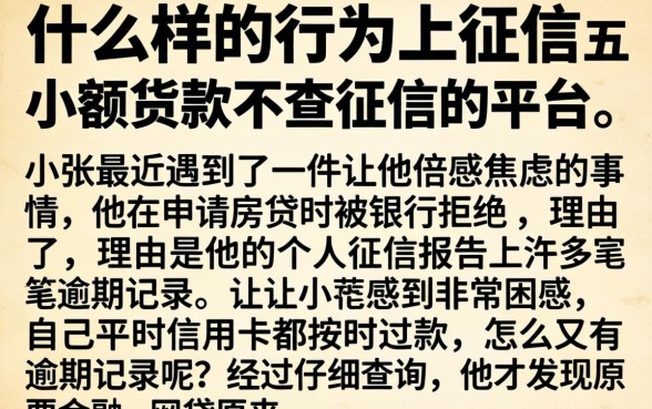 什么样的行为上征信，详细阐述五个小额贷款不查征信的平台