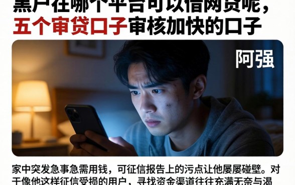 黑户在哪个平台可以借网贷呢，条列五个审贷口子审核加快的口子