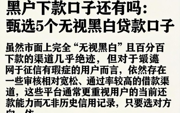 黑户下款口子还有吗，甄选5个无视黑白贷款口子