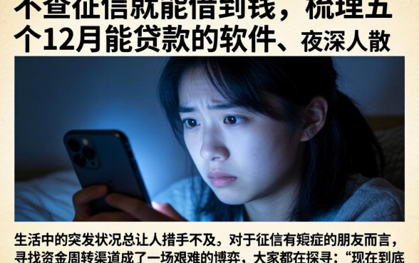 不查征信就能借到钱，梳理五个12月能贷款的软件