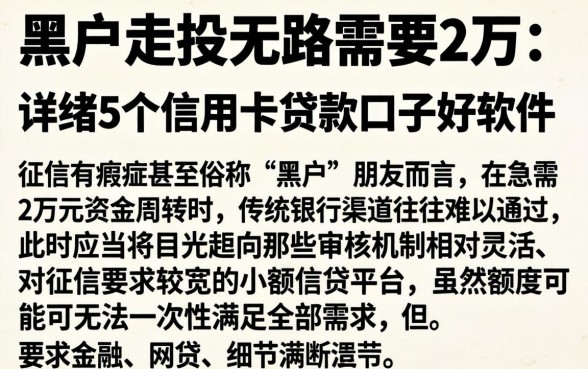 黑户走投无路需要2万，详尽说明5个信用卡贷款口子好软件