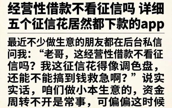 经营性借款不看征信吗，详尽说明五个征信花居然都下款的app
