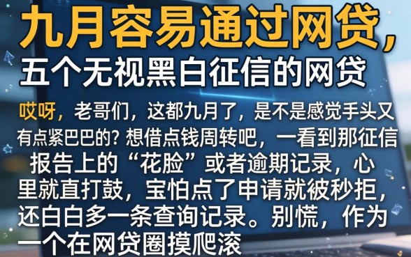 九月容易通过的网贷，细致阐述五个无视黑白征信的网贷