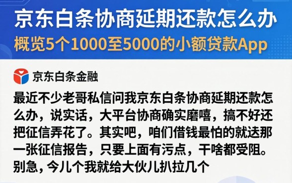 京东白条协商延期还款怎么办,概览5个1000至5000的小额贷款app
