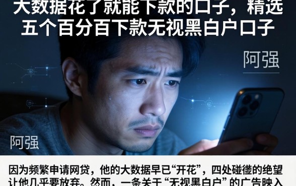 大数据花了就能下款的口子，精选五个百分百下款无视黑白户口子