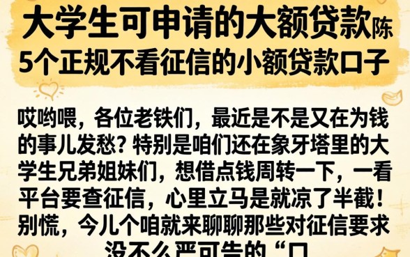 大学生可申请的大额贷款，陈列5个正规不看征信的小额贷款口子