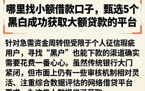 哪里找小额借款口子，甄选5个黑户成功获取大额贷款的平台
