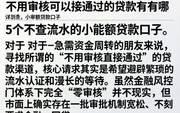不用审核可以直接通过的贷款有哪些，详细阐述5个不查流水的小额度贷款口子