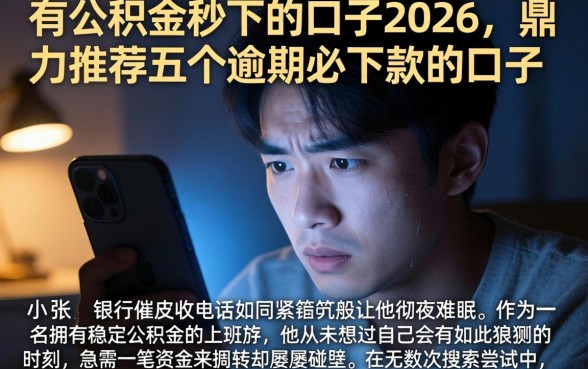 有公积金秒下的口子2026，鼎力推荐五个逾期必下款的口子