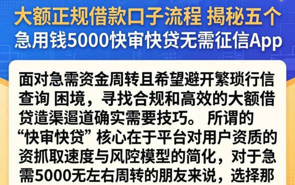 大额正规借款口子流程，揭秘五个急用钱5000快审快贷无需征信app