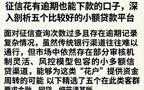 征信花有逾期也能下款的口子,深入剖析五个比较好的小额贷款平台