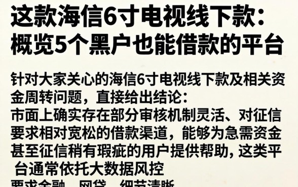 这款海信6寸电视线下款，概览5个黑户也能借款的平台