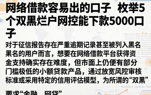 网络借款容易出的口子，枚举5个双黑烂户风控能下款5000口子