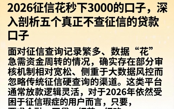 2026征信花秒下3000的口子，深入剖析五个真正不查征信的贷款口子
