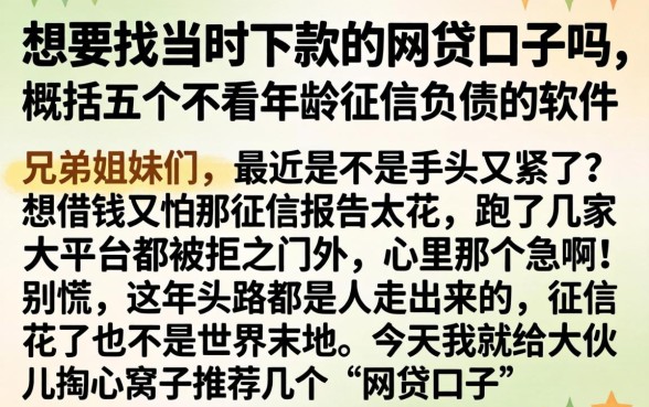 想要找当时下款的网贷口子吗，概括五个不看年龄征信负债的软件