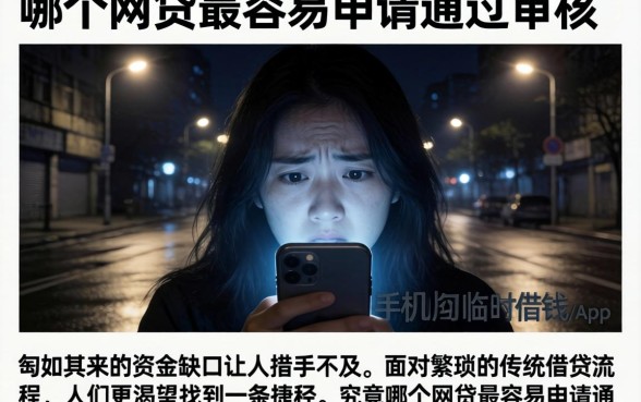 哪个网贷最容易申请通过审核,概括五个手机可以临时借钱的app