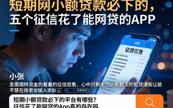 短期小额贷款必下的，概括五个征信花了能网贷的app