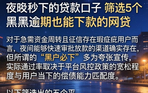 夜间秒下的贷款口子，筛选5个黑户逾期也能下款的网贷