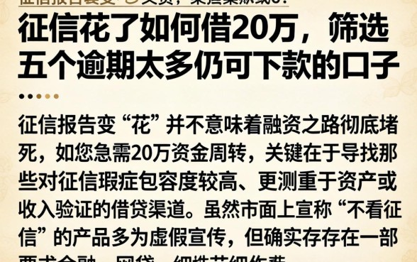 征信花了如何借20万,筛选五个逾期太多仍可下款的口子