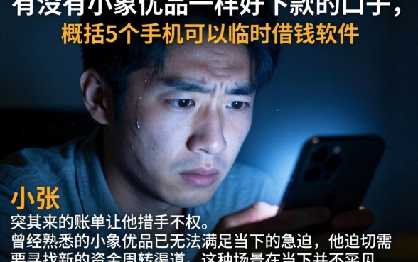 有没有小象优品一样好下款的口子,概括5个手机可以临时借钱的软件
