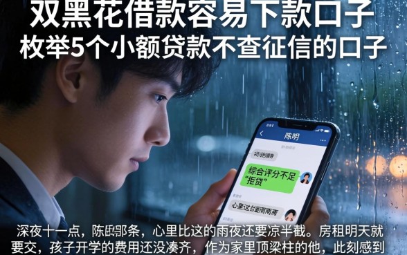双黑花借款容易下款的口子，枚举5个小额贷款不查征信的口子