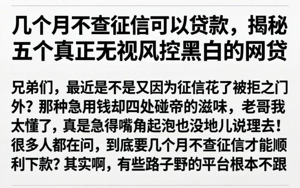 几个月不查征信可以贷款，揭秘五个真正无视风控黑白的网贷