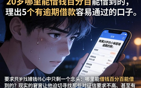 20岁哪里能借钱百分百能借到的，理出5个有逾期借款容易通过的口子