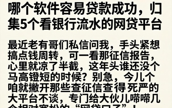 在哪个软件容易贷款成功，归集5个看银行流水的网贷平台