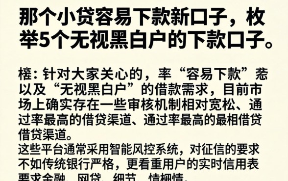 那个小贷容易下款新口子，枚举5个无视黑白户的下款口子