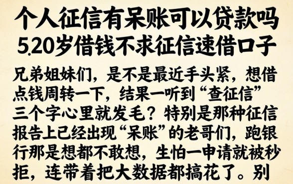 个人征信有呆账可以贷款吗，详细阐述五个20岁借钱不求征信速借口子