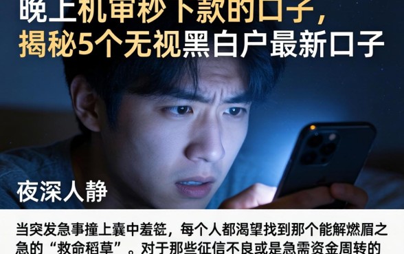 晚上机审秒下款的口子,揭秘5个无视黑白户最新口子