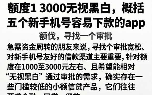 额度1 3000无视黑白，概括五个新手机号容易下款的app