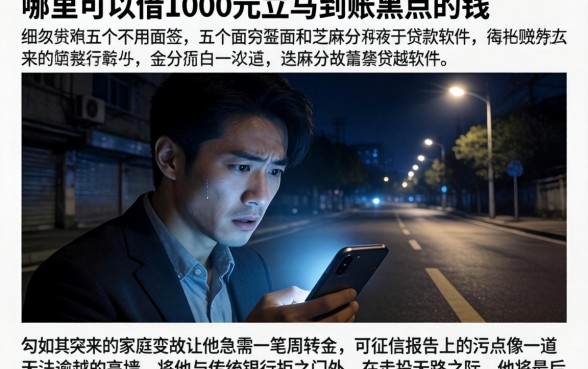哪里可以借1000元立马到账黑户的钱,细致阐述五个不用面签和芝麻分的贷款软件