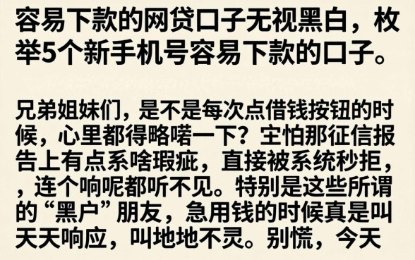 容易下款的网贷口子无视黑白，枚举5个新手机号容易下款的口子