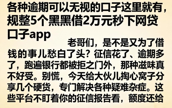 各种逾期可以无视的口子这里就有，规整5个黑户借2万元秒下网贷口子app
