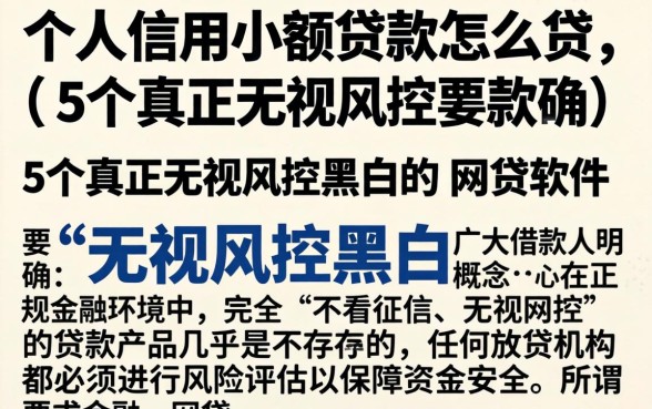 个人 信用小额贷款怎么贷,详尽说明5个真正无视风控黑白的网贷软件