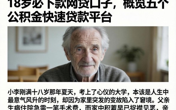 18岁必下款的网贷口子，概览五个公积金快速贷款平台