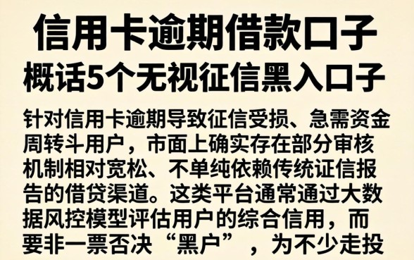 信用卡逾期借款的口子，概括5个无视征信黑户口子