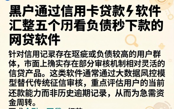 黑户通过信用卡贷款的软件，汇整五个不看负债秒下款的网贷软件