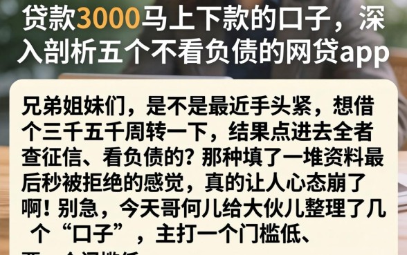 贷款3000马上下款的口子，深入剖析五个不看负债的网贷app