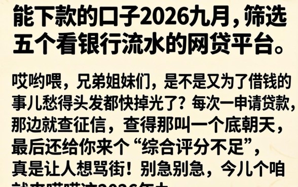 能下款的口子2026九月,筛选五个看银行流水的网贷平台