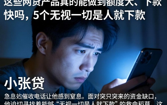 这些网贷产品真的能做到额度大、下款快吗，概括5个无视一切是人就下款