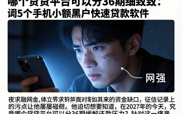 哪个借贷平台可以分36期,细致阐述5个手机小额黑户快速贷款软件