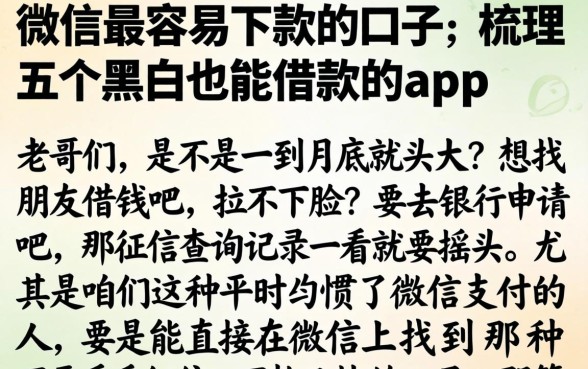 微信最容易下款的口子,梳理五个黑户也能借款的app