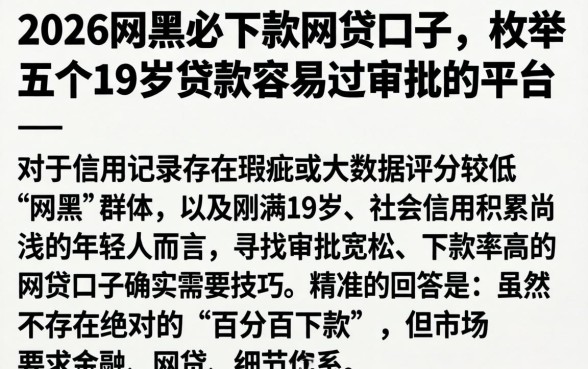2026网黑必下款网贷口子，枚举五个19岁贷款容易过审批的平台