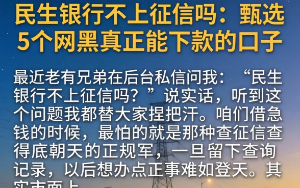 民生银行不上征信吗，甄选5个网黑真正能下款的口子