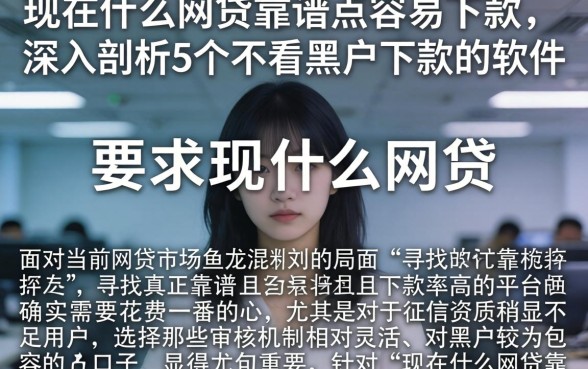 现在什么网贷靠谱点容易下款，深入剖析5个不看黑户下款的软件