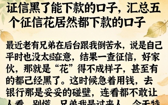 证信黑了能下款的口子，汇总五个征信花居然都下款的口子