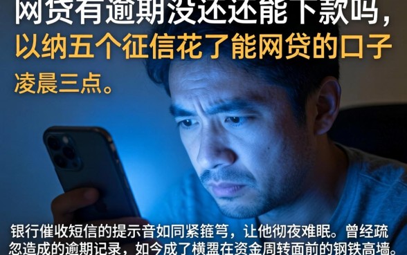 网贷有逾期没还还能下款吗，归纳五个征信花了能网贷的口子